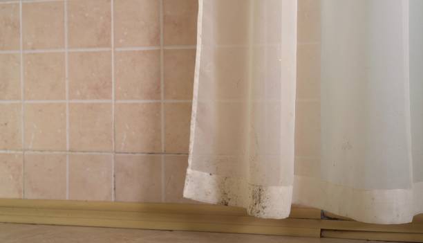 Best Residential Mold Inspection & Testing  in Rockledge, FL