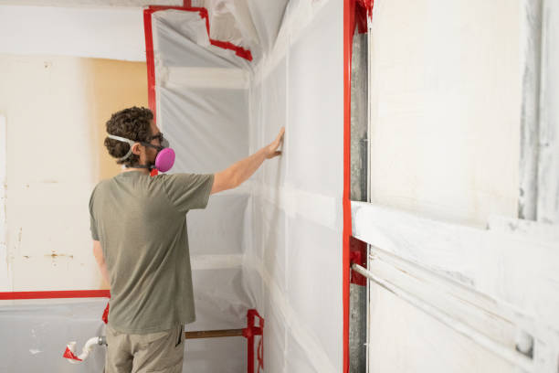 Best Mold Removal for HVAC Installations  in Rockledge, FL