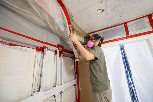 Best Mold Odor Removal Services  in Rockledge, FL