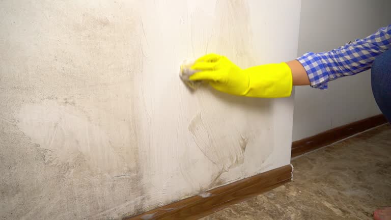 Best Asbestos and Lead Testing During Mold Inspection  in Rockledge, FL